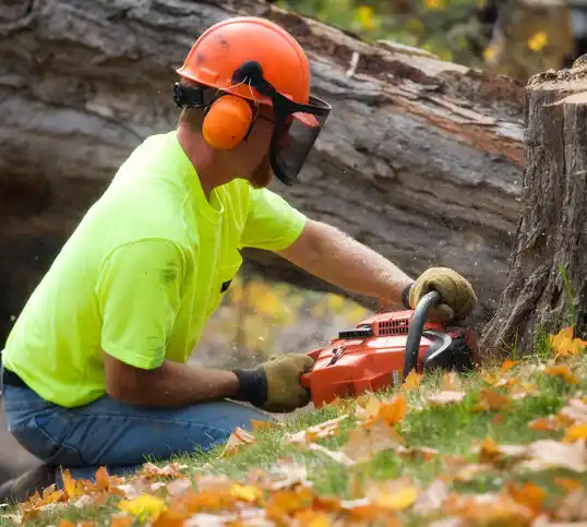 tree services Baiting Hollow